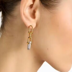 Elegant Gold and Silver Earrings